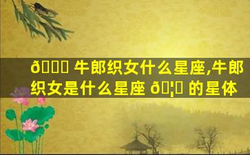 💐 牛郎织女什么星座,牛郎织女是什么星座 🦅 的星体